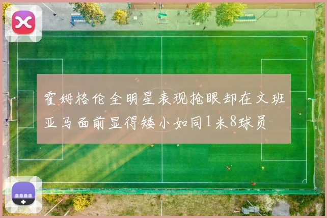 霍姆格伦全明星表现抢眼却在文班亚马面前显得矮小如同1米8球员